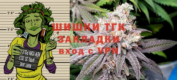 молекула духа Надым