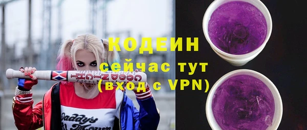молекула духа Надым