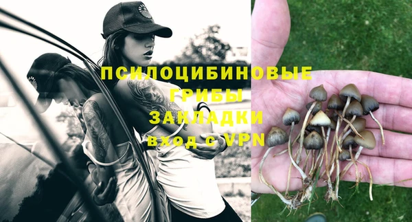 сатива Навашино