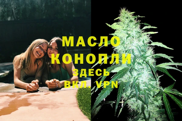 молекула духа Надым