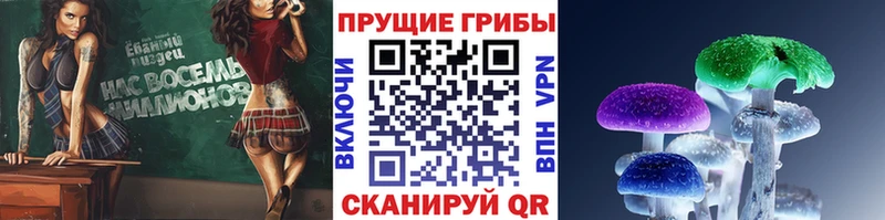 Псилоцибиновые грибы GOLDEN TEACHER  как найти   дарк нет как зайти  Советский 